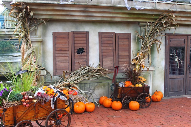 Autumn at the store